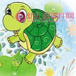 小班科学课件PPT《小乌龟》PPT课件图片