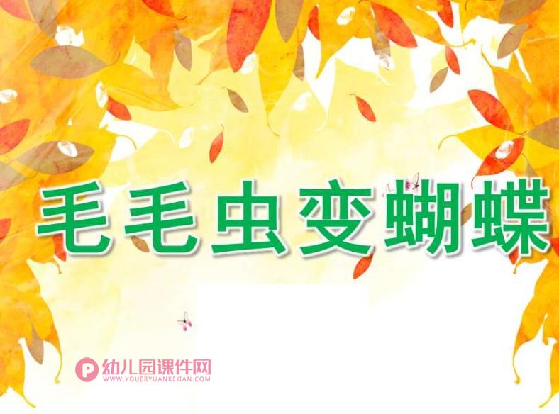 小班科学课件PPT《毛毛虫变蝴蝶》PPT课件图片