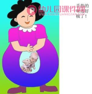 小班美术课件PPT《妈妈肚子里的我》PPT课件图片