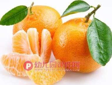 小班美术课件PPT《秋天的水果》PPT课件图片