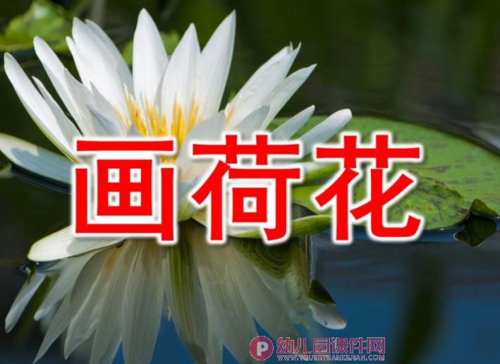 小班艺术课件PPT《画荷花》PPT课件图片