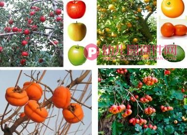 小班美术水粉画课件PPT《秋天的果园》PPT课件图片