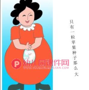 小班美术课件PPT《妈妈肚子里的我》PPT课件图片