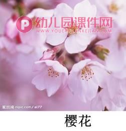 小班美术课件PPT《春花的花》PPT课件图片