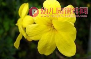 小班美术课件PPT《春花的花》PPT课件图片