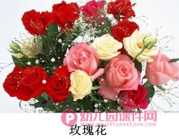 小班美术课件PPT《春花的花》PPT课件图片
