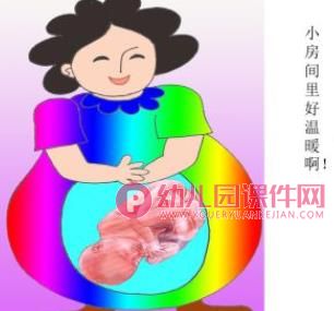 小班美术课件PPT《妈妈肚子里的我》PPT课件图片