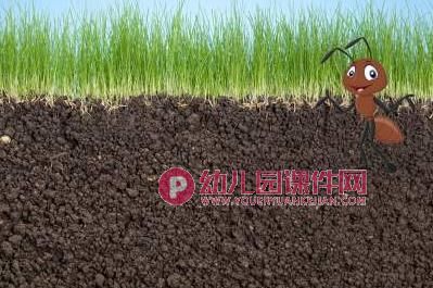 小班创意美术课件PPT《小蚂蚁建新家》PPT课件图片