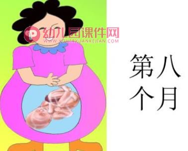 小班美术课件PPT《妈妈肚子里的我》PPT课件图片