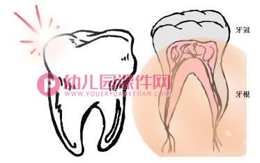 小班美术活动课件PPT《刷牙》PPT课件图片