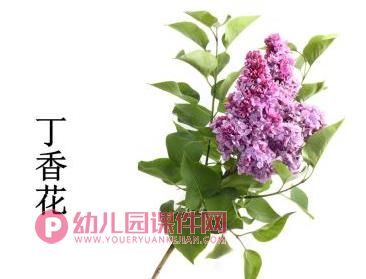 小班美术课件PPT《春花的花》PPT课件图片