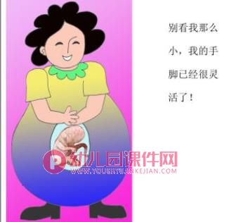 小班美术课件PPT《妈妈肚子里的我》PPT课件图片