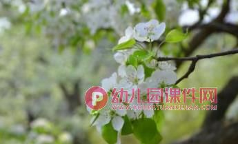 小班社会课件PPT《我们去春游》PPT课件图片