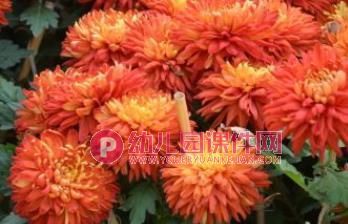 小班社会课件PPT《我们去春游》PPT课件图片