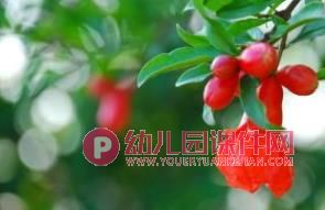 小班社会课件PPT《我们去春游》PPT课件图片