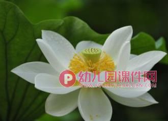 小班社会课件PPT《我们去春游》PPT课件图片
