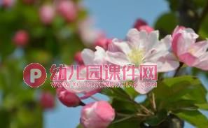 小班社会课件PPT《我们去春游》PPT课件图片