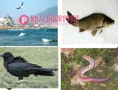 小班社会环境日活动课件PPT《地球招聘清洁工》PPT课件图片
