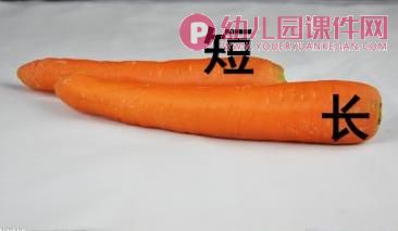 小班数学课件PPT《认识长短》PPT课件图片