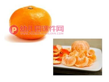 小班数学课件PPT《图形食品品尝会》PPT课件图片