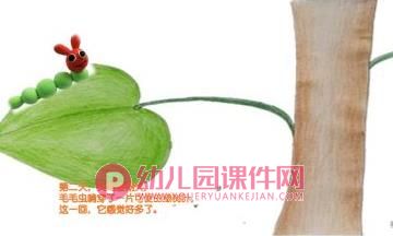 小班数学课件PPT《好饿的毛毛虫》PPT课件图片