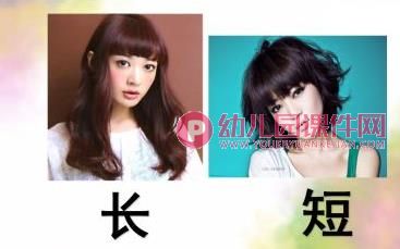 小班数学课件PPT《认识长短》PPT课件图片