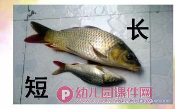 小班数学课件PPT《认识长短》PPT课件图片