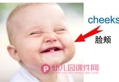 小班英语课件PPT《身体部位》PPT课件图片