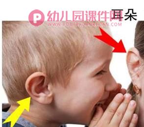 小班英语课件PPT《身体部位》PPT课件图片