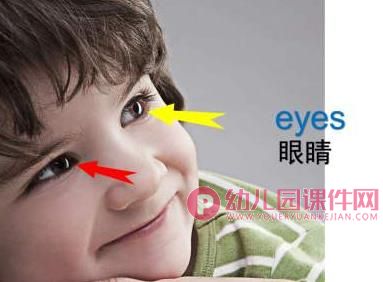 小班英语课件PPT《身体部位》PPT课件图片