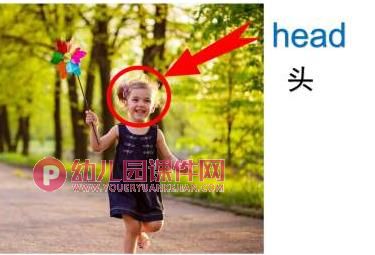 小班英语课件PPT《身体部位》PPT课件图片