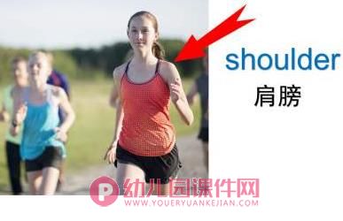 小班英语课件PPT《身体部位》PPT课件图片