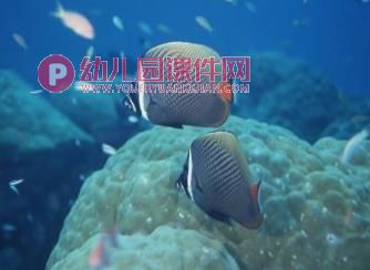 小班音乐课件PPT《大鱼和小鱼》PPT课件音乐图片