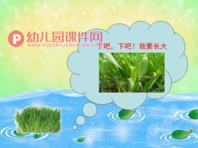 小班儿歌课件PPT《春雨》PPT课件图片