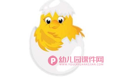 小班律动课件PPT《小鸡出壳》PPT课件音乐图片