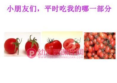 小班音乐课件PPT《可爱的蔬菜宝宝》PPT课件图片