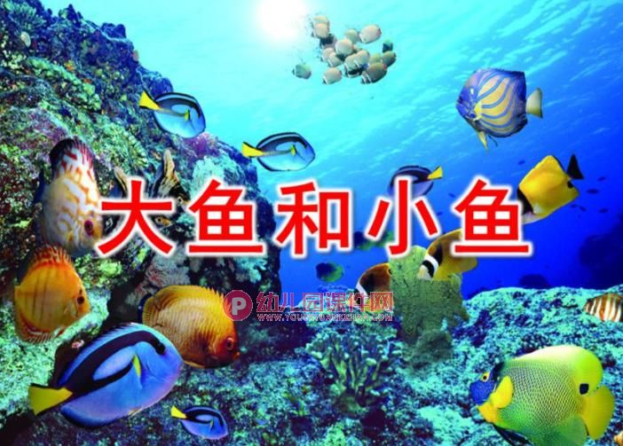 小班音乐课件PPT《大鱼和小鱼》PPT课件音乐图片