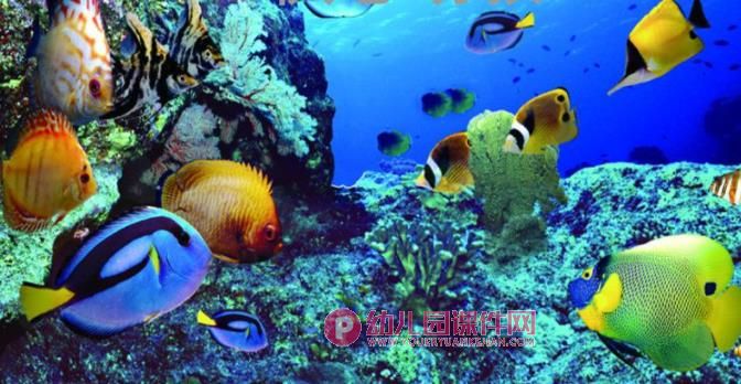 小班音乐课件PPT《大鱼和小鱼》PPT课件音乐图片