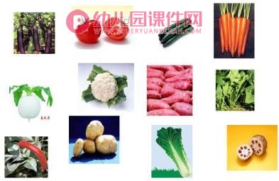 小班音乐课件PPT《可爱的蔬菜宝宝》PPT课件图片