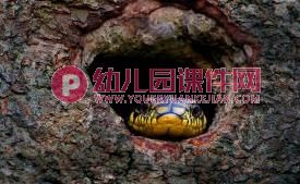 小班游戏课件PPT《小动物的家》PPT课件图片
