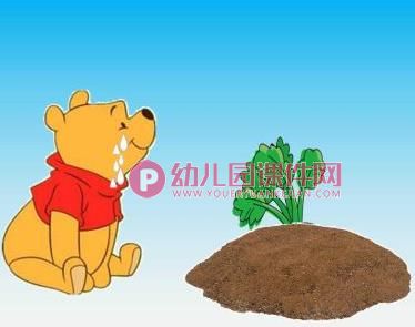 小班语言课件PPT《熊宝宝的小芽芽》PPT课件图片