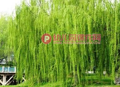 小班语言课件PPT《春天的颜色》PPT课件图片