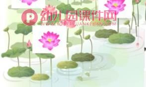 小班语言活动课件PPT《荷花开》PPT课件图片