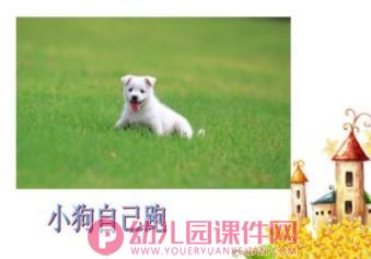 小班儿歌课件PPT《妈妈快放手》PPT课件图片