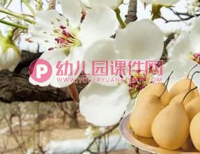 小班语言课件PPT《春天的颜色》PPT课件图片