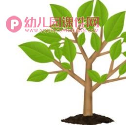 小班语言课件PPT《小树苗》PPT课件图片