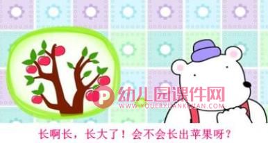 熊宝宝的小芽芽PPT课件图片