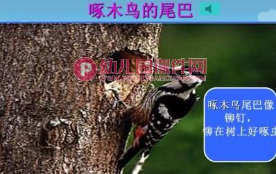 小班语言课件PPT《小白兔借尾巴》PPT课件图片