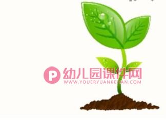 小班语言课件PPT《小树苗》PPT课件图片