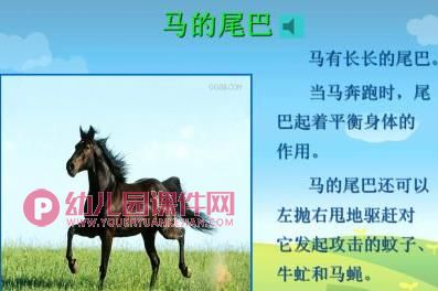 小班语言课件PPT《小白兔借尾巴》PPT课件图片